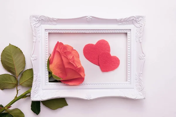 Live Soft Pink Rose White Frame Photo White Background Top — Stock Photo, Image