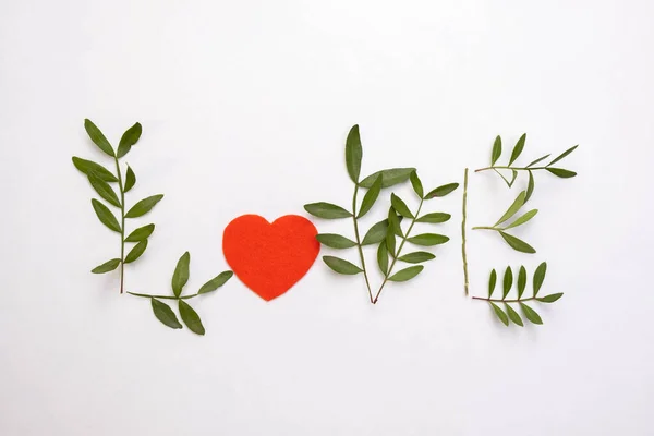 White Background Word Love Written Bush Branches Top View — Stock Photo, Image