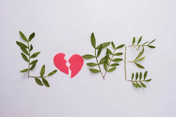 Light Background Word Broken Love Made Bush Branches Top View — Stock Photo, Image