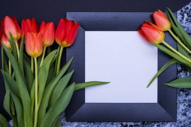 Siyah ve gri arka planda, sağda ve solda kırmızı laleler, beyaz arkaplanlı siyah çerçeve, yakın plan