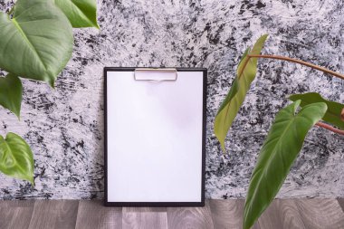 bir not panosu ve büyük yeşil yapraklar desenli arka planda, siyah ve gri