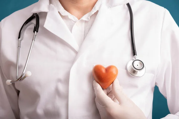 doctor in gloves holding a heart, a stethoscope on hanging on the shoulders, blue background and close-up