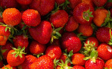 Olgun sulu çileklerin arka planı, yakın plan.