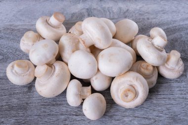 Bir grup şampiyon tahta bir tahtanın üzerinde yatıyor, yakın plan.