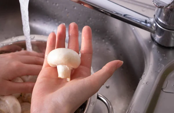 Champignon Der Handfläche Der Küche Unter Fließendem Wasser Gewaschen Nahaufnahme — Stockfoto