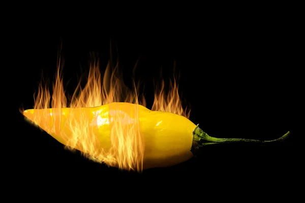 Un poivron fantôme naga jaune flamboyant — Photo