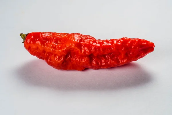 Pimenta fantasma Naga — Fotografia de Stock