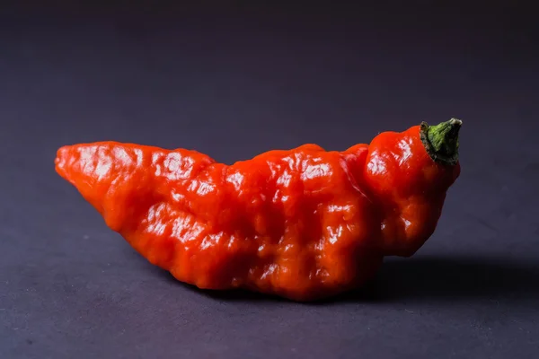 Pimenta fantasma naga vermelha — Fotografia de Stock