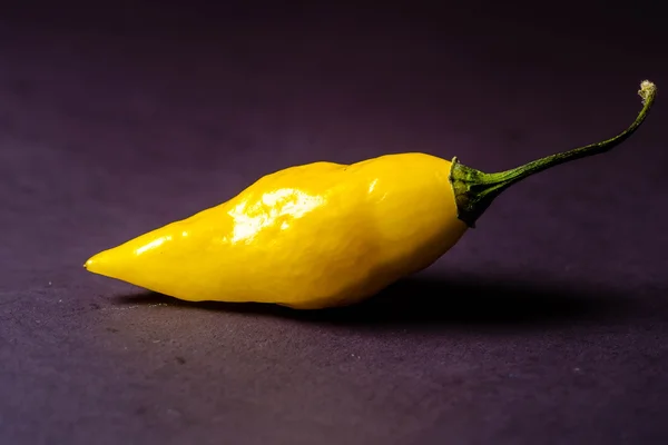 Pimenta fantasma naga vermelha — Fotografia de Stock