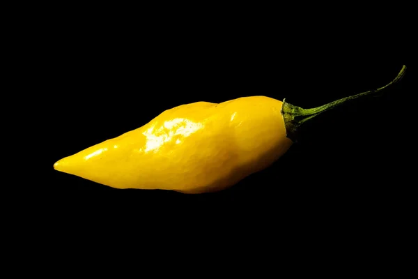 Pimenta fantasma naga vermelha — Fotografia de Stock