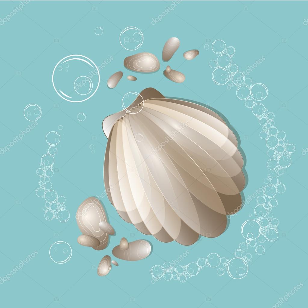 Delle conchiglie ciottoli lisci e bolle d aria Illustrazione di vettore Concetto di mare di estate Disegno marino — Vettoriali di 1yulia1979il