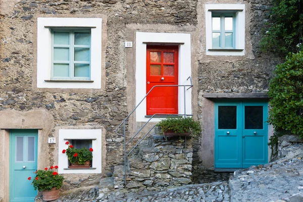 Giriş kapıları çok renkli kırmızı çiçekler