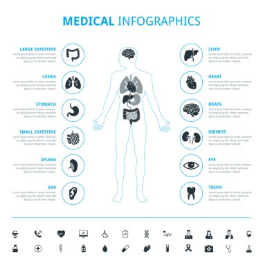 Medical human organs and medical icon set with human body clipart