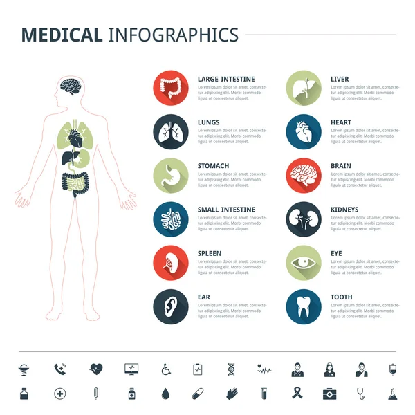 Órgãos humanos médicos e ícone médico definido com corpo humano em fundo branco — Vetor de Stock