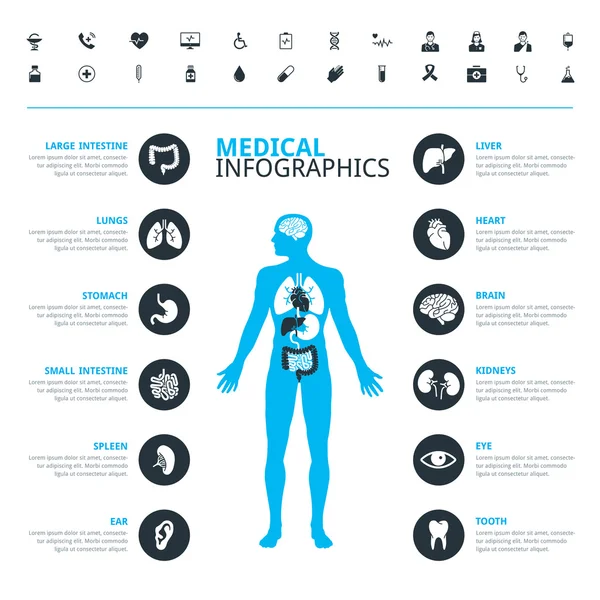 Órganos humanos médicos y el icono médico conjunto con el cuerpo humano en azul — Archivo Imágenes Vectoriales