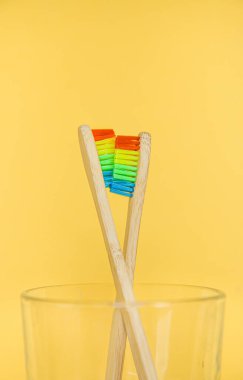 Sarı arka planda bir bardakta bir çift diş fırçası. lgbt toplumuna hoşgörü.