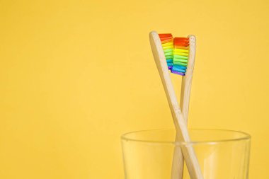 Sarı arka planda bir bardakta bir çift diş fırçası. lgbt toplumuna hoşgörü.