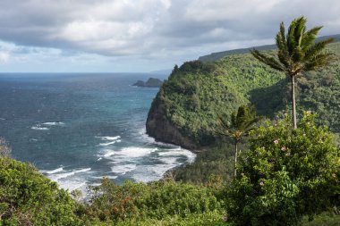 Büyük Hawaii Adası 'nın kuzey tarafında yer alan 270 numaralı otoyolun sonuna Pololu Vadisi' nden geniş bir manzarayla gidebilirsiniz..