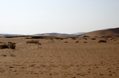 Sandy Namibya çöl 