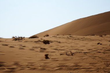 Kumlu çölde kuru Namibya