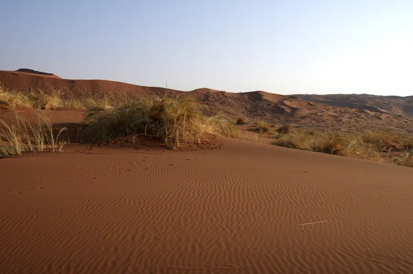 Deserto da Namíbia arenoso — Fotografia de Stock