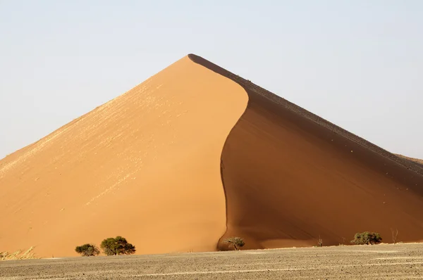 Désert namibien sablonneux — Photo