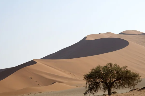 Sandy Namibische woestijn — Stockfoto