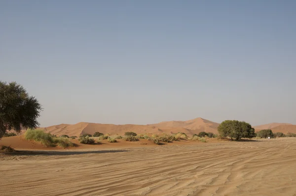 Sandy Namibische woestijn — Stockfoto
