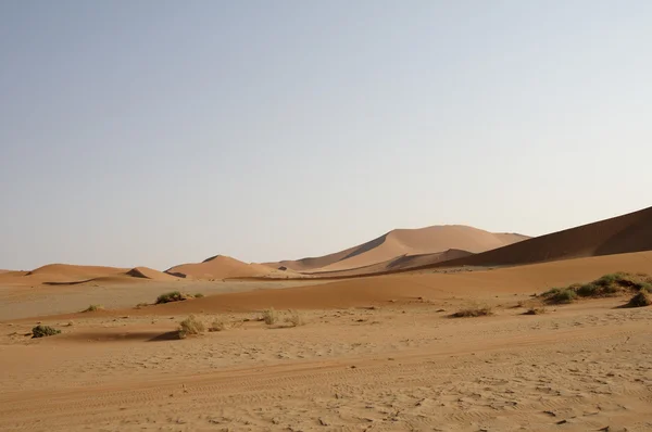 Deserto da Namíbia arenoso — Fotografia de Stock