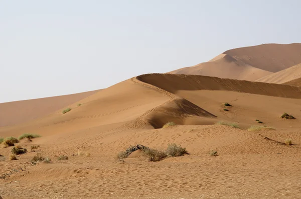 Deserto da Namíbia arenoso — Fotografia de Stock