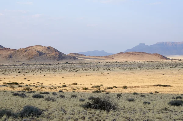 Desierto en Namibia, lugar de naturaleza arenosa — Foto de Stock