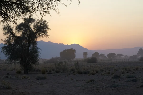 Deserto na Namíbia, lugar natureza arenosa — Fotografia de Stock