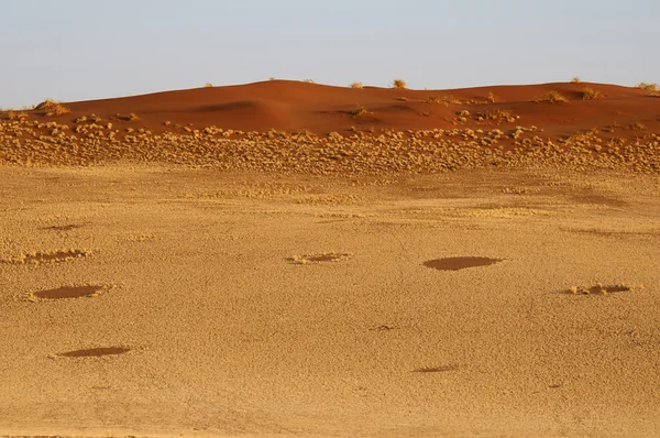 Desierto en Namibia, lugar de naturaleza arenosa — Foto de Stock