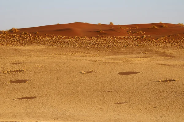 Désert en Namibie, nature sablonneuse — Photo