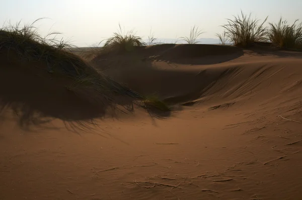 Sandy Namibian desert — Stock Photo, Image