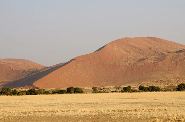 Sandy Namibian desert — Stock Photo, Image