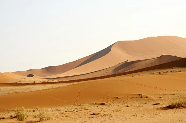 Sandy Namibische woestijn — Stockfoto