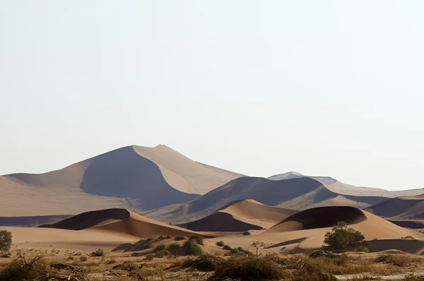 Deserto da Namíbia arenoso — Fotografia de Stock