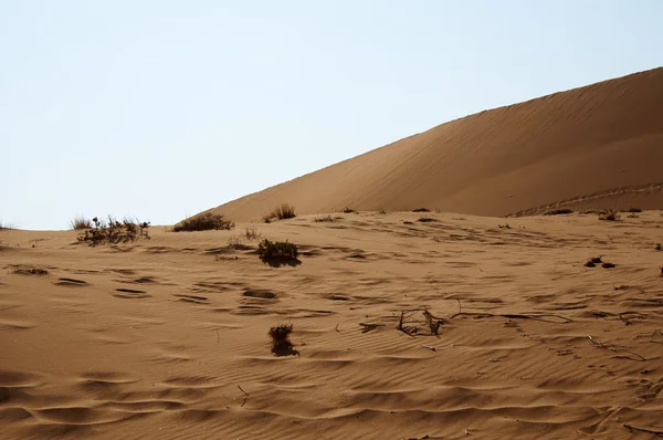Droge zanderige woestijn in Namibië — Stockfoto