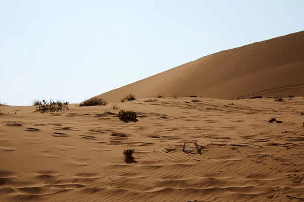 Deserto de areia seca na Namíbia — Fotografia de Stock