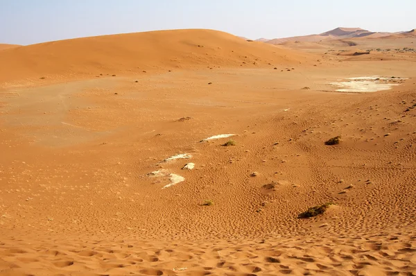Droge zanderige woestijn in Namibië — Stockfoto