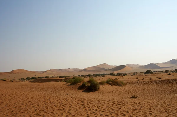Deserto de areia seca na Namíbia — Fotografia de Stock