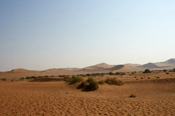 Droge zanderige woestijn in Namibië — Stockfoto