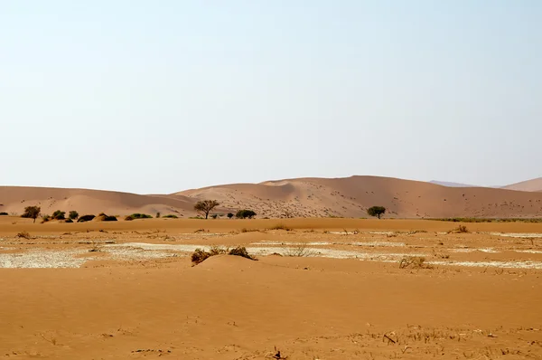 Deserto de areia seca na Namíbia — Fotografia de Stock