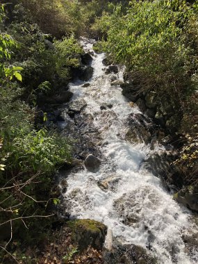 Şelale ve ağaçlarla dolu sonbahar manzarası
