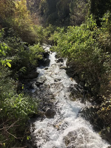 autumnal landscape with waterfall and trees