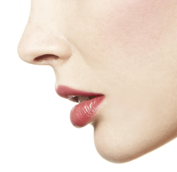 burun ve ağız ile kırmızı ruj