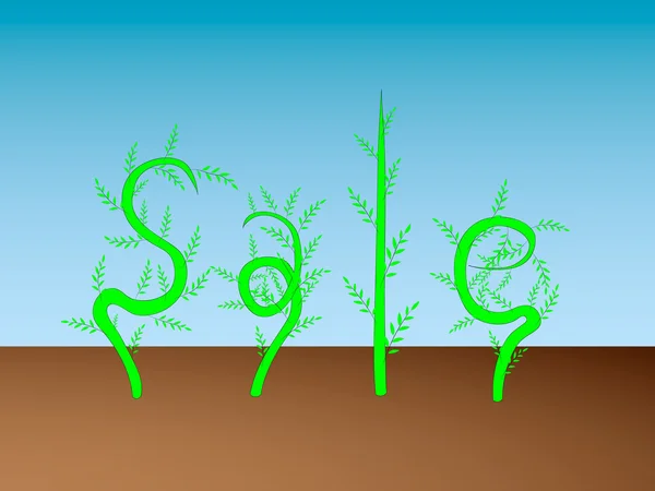 Het woord verkoop van de planten — Stockfoto