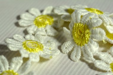 Daisy dekorasyon boyun.