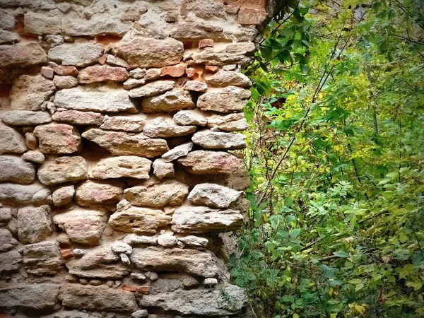 Castle in Kamenetz-Podolsk — Stock Photo, Image